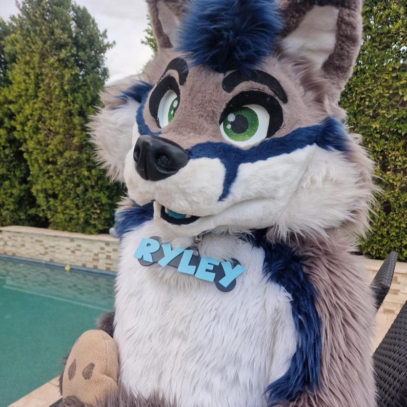 May include: A furry wolf costume with a blue and gray color scheme. The costume has large green eyes, a black nose, and a blue name tag that says "RYLEY". The fur is a mix of gray, white, and blue.