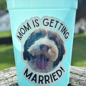 Tazza personalizzata con faccina di cane "La mamma si sposa" da 16 once / Bicchieri per addio al nubilato / Bicchieri di plastica riutilizzabili e impermeabili / Bicchieri per mamma di cani