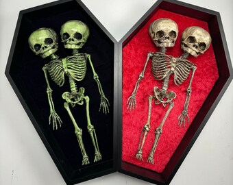 Siamese twins coffin plaque horror Halloween