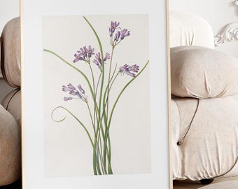 Botanical Print Floral Minimal Wall Art Vintage Natural Science Print Plants Wall Decor Flower Illustration Botanical Art Print Clusterlily