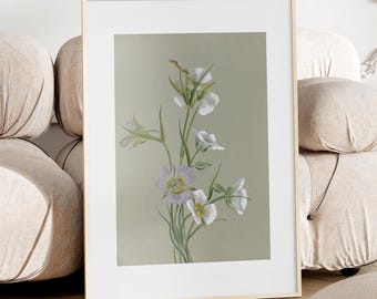 Botanical Print Floral Minimal Wall Art Vintage Natural Science Print Plants Wall Decor Flower Illustration Botanical Art Print