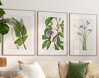 Set of 3 Botanical Print | Floral Minimal Wall Art Vintage Natural Science Print Plants Wall Decor Flower Illustration Botanical Art Print
