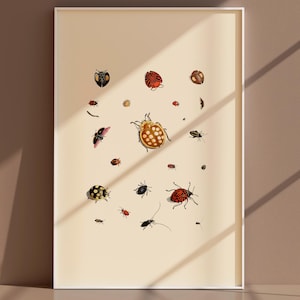 Stampa di animali selvatici — Breve storia degli insetti - Poster vintage di scienze naturali, stampa artistica di animali da parete, grande stampa artistica scientifica