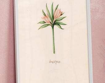 Botanical Print Floral Minimal Wall Art Vintage Natural Science Print Plants Wall Decor Flower Illustration Botanical Art Print Zeitloss