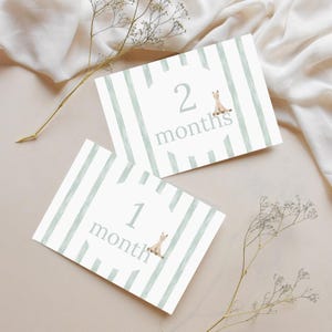 Baby Monatliche Meilenstein Karten | Baby Geschenk | Meilensteinkarten für das erste Jahr | Baby Foto Requisiten | Digitaler Download
