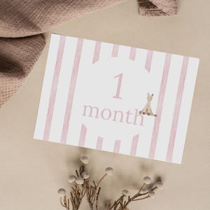 Cartes d'étape mensuelles pour bébé | Cadeau bébé | Cartes d'étape de première année | Accessoires photo bébé fille | Téléchargement numérique