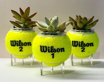 Tennis Ball Planter w/ stand, Succulent Planter, Athlete, Tennis Gift, Unique Sports Home Decor, Sports Theme Room, Sports Gift