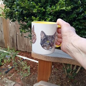 White mug with yellow interior and yellow handle held in right hand above wood arm chair outdoors. Garden plants, red brick path and wood fence in background. View of mug shows partial view of orange cat head and full view of tabby cat head.