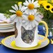 see more listings in the Cat Lovers section