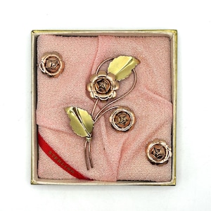 Vintage Brooch with Earings