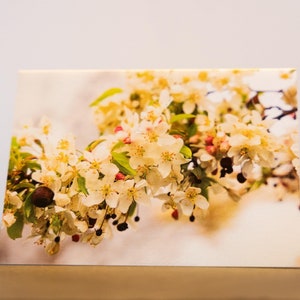 Tarjeta con notas de flor de manzano silvestre