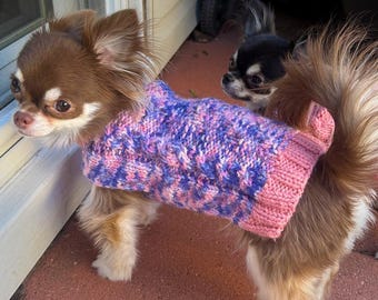 May include: A brown and white Chihuahua wearing a hand-knitted sweater. The sweater is primarily purple with pink accents and a pink ribbed collar. Another Chihuahua is visible in the background.