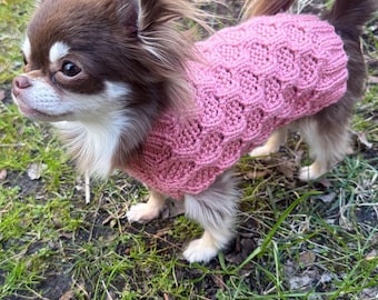 May include: A long-haired Chihuahua dog wearing a pink, patterned sweater. The dog has brown and white fur and is standing on grass. The sweater has a textured, honeycomb-like design.