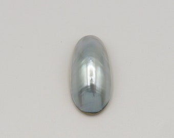 Large Silver Blue Osmena Nautilus Shell 45mm x 23mm Oval Cabochon, White Mother of Pearl Back, Jewelry Making Supply