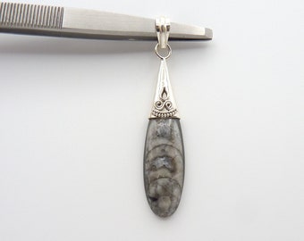 Vintage Cephalopod Squid Fossil Sterling Silver Pendant, 925, Orthoceras, Estate