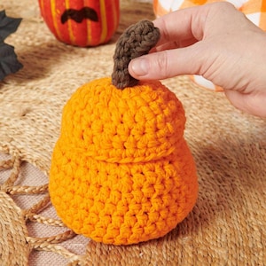 Little Pumpkin Jar Pattern, Halloween Crochet Pattern, Easy To Advanced, Amigurumi PDF For Download 15725AT140