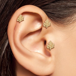 Ahornblatt Ohrstecker • Natur Inspirierter Piercing Schmuck • 14K Solid Gold Labret Bolzen 18 Gauge • Innengewinde Piercing