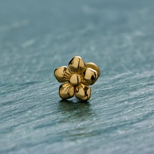 Sierlijke bloem oorknop goud • Piercing met interne schroefdraad 18 g• 14 kt massief gouden schroef madeliefje oorbel met platte achterkant • Verjaardagscadeau voor haar