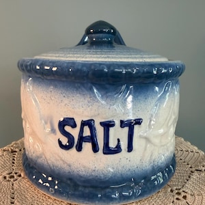 Vintage Blue White Speckled Bird Motif Wall-Hanging Salt Box | Vintage Crock | Farmhouse Boho Kitchen
