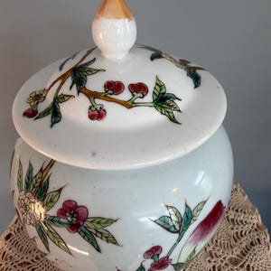 Pode incluir: Um pote de porcelana branca com tampa correspondente apresentando um remate em tom dourado. O pote e a tampa s&atilde;o decorados com motivos bot&acirc;nicos pintados &agrave; m&atilde;o, incluindo folhas verdes, flores rosas e pequenas bagas vermelhas sobre um fundo esbranqui&ccedil;ado.