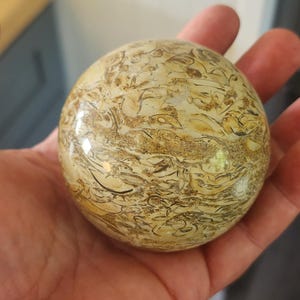 Bone Fossil Sphere