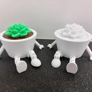 Puede incluir: Dos macetas blancas y caprichosas para suculentas, con brazos y piernas. Una maceta tiene una suculenta verde, la otra una blanca. Las macetas están sobre una superficie oscura.