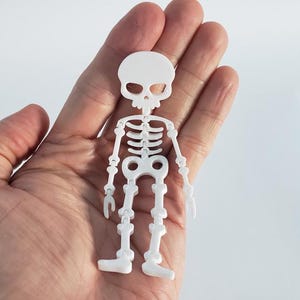 Flexi Skeleton - Articulated Skeleton - STL file - Digital file