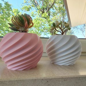 Puede incluir: Dos macetas esféricas con diseño en espiral, una rosa claro y otra blanca, cada una con una pequeña planta suculenta. Las macetas están sobre una superficie clara cerca de una ventana.