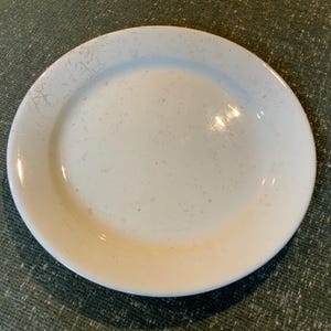 Antique E.T.P. Co. Ironstone Plate, 9.3 inches in diameter, crazed and stained, English Thomas Pottery, 1855-1895