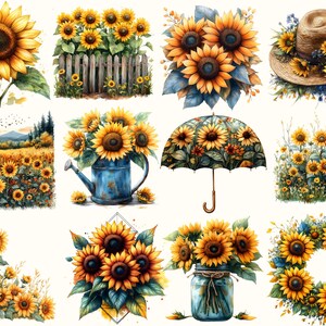 Op de afbeelding: Een verzameling van 12 digitale illustraties met zonnebloemen in verschillende arrangementen. De illustraties omvatten zonnebloemen in een veld, in een vaas, in een krans en met een hoed. De illustraties zijn geschilderd in aquarelstijl.