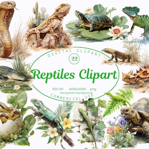 Könnte beinhalten: Aquarell-Digital-Clipart mit verschiedenen Reptilien, darunter eine Kobra, eine Eidechse, eine Schildkröte, ein Leguan und ein Alligator. Das Bild enthält den Text "Reptiles Clipart" in Grün mit Details zur Bildauflösung und kommerziellen Nutzung.