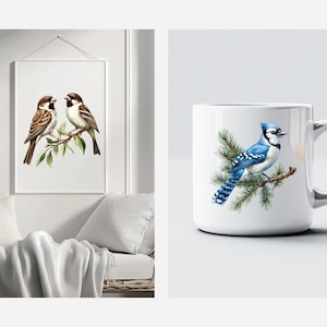 May include: A white ceramic mug with a blue jay bird perched on a pine branch. The bird has a blue body, white head, and black eyes. The mug is a great gift for bird lovers.