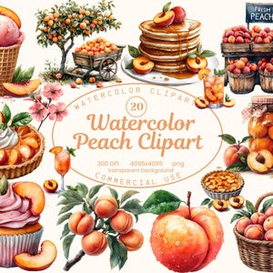 Colección de imágenes prediseñadas de melocotón en acuarela, 20 ilustraciones PNG de frutas de verano, arte culinario, invitaciones coquetas, descarga digital para uso comercial.
