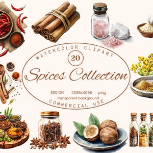 Coleção de clipart de especiarias em aquarela, desenhos botânicos rústicos 20 ilustrações PNG, download digital de arte em estilo country para uso comercial