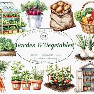 Légumes du jardin Clip Art Collection, ferme rustique aquarelle frais Veggie 24 illustrations PNG, téléchargement numérique à usage commercial