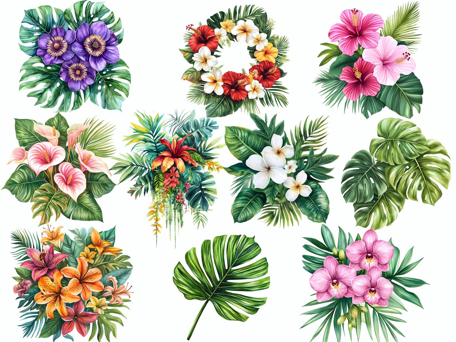 Tropical Plant Clipart Collection, Exotic Foliage, Flowers 20 PNG ...