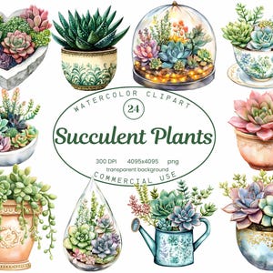 Collection de clipart plantes succulentes, 24 illustrations de cactus Boho PNG, Invitations de Style aquarelle, raboteuses numériques, sublimation PNG