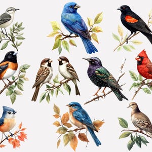 May include: A watercolor painting of ten different birds perched on branches. The birds are a variety of colors, including blue, red, black, white, and brown. The branches are green and brown.