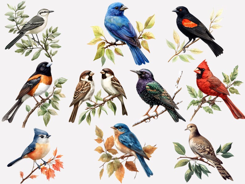 May include: A watercolor painting of ten different birds perched on branches. The birds are a variety of colors, including blue, red, black, white, and brown. The branches are green and brown.