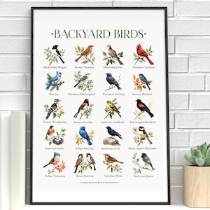 May include: A framed wall art print titled BACKYARD BIRDS featuring a grid of twenty detailed illustrations of various bird species, each labeled with its common name, including the Northern Cardinal, Blue Jay, American Robin, and others.
