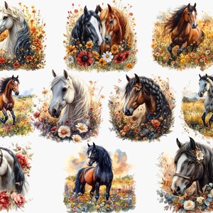 Op de afbeelding: Een digitale collage van tien afbeeldingen met paarden in verschillende poses en omgevingen. Elk paard is omringd door kleurrijke bloemen en groen. De paarden zijn allemaal in verschillende kleuren en rassen, waaronder bruin, wit, zwart en gevlekt.