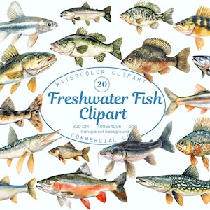 Collection de cliparts poissons d'eau douce, pêcheur de rivière vie 20 Illustrations PNG, aquarelle bar, truite, téléchargement numérique, usage Commercial