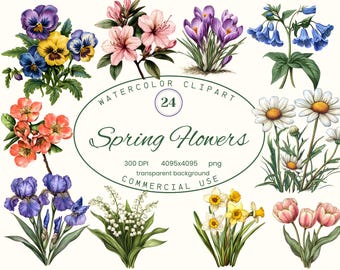 Spring Flowers Clipart Collection, Retro Botanical 24 PNG illustrations, Vintage Daffodil, Tulip Style Art, Digital Download Commercial Use