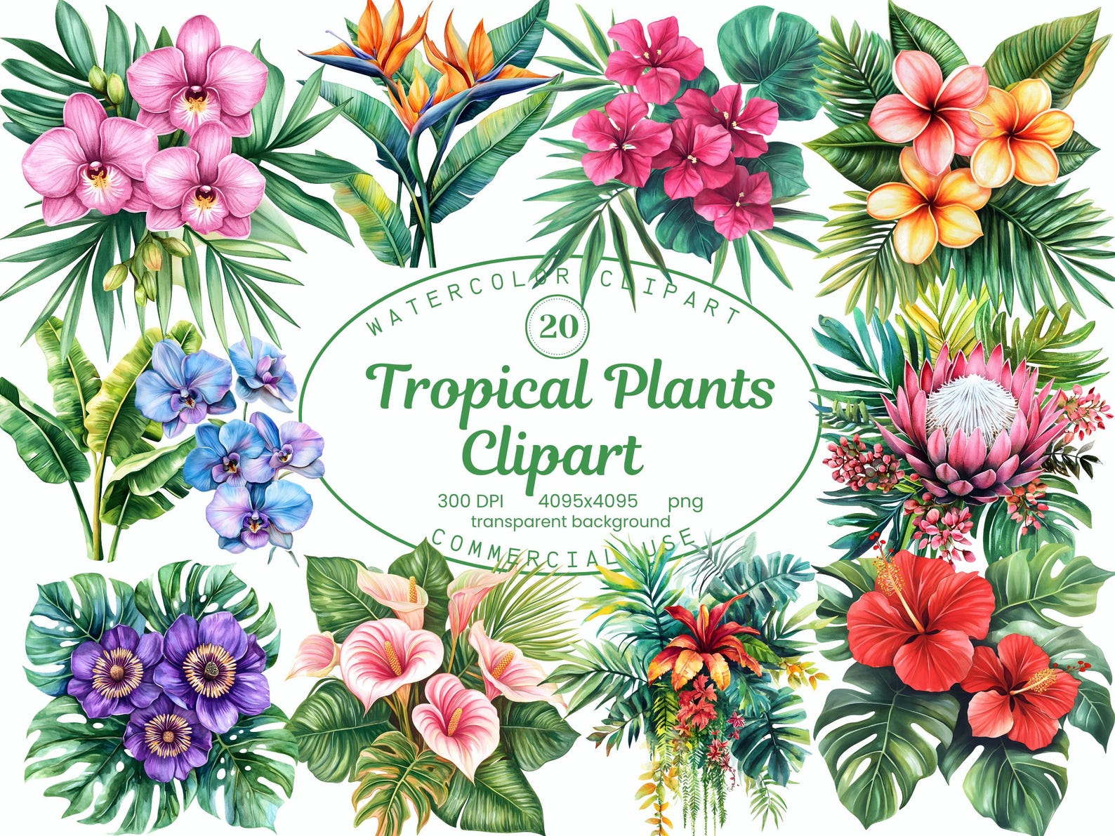 Tropical Plant Clipart Collection, Exotic Foliage, Flowers 20 PNG ...