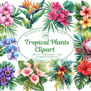 Tropical Plant Clipart Collection, Exotic Foliage, Flowers 20 PNG illustrations, Watercolor Style Art Digital Download Commercial Use
