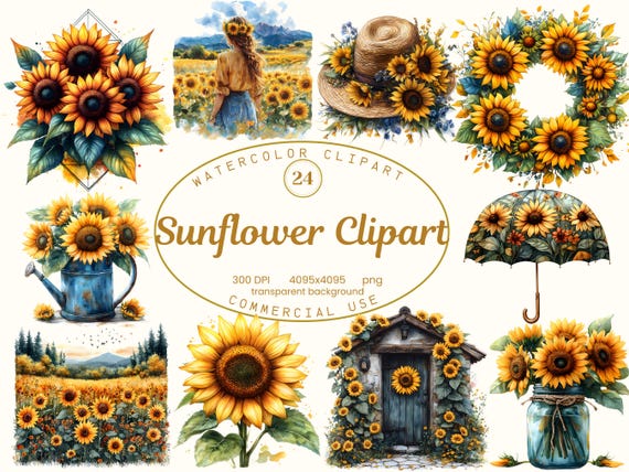 Sunflower Clipart Collection,  24 PNG Rustic Boho Watercolor Illustrations, Floral Cottagecore Art PNG, Digital Planers, Sublimation Design