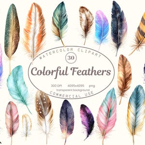Colorful Feathers Clip Art Collection, Watercolor Boho 30 PNG illustrations, Feather Pattern, Wedding Invitations, Digital Download