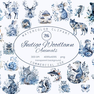 Clip art di animali di Indigo Woodlawn con elementi floreali, arte popolare scandinava 26 illustrazioni PNG, download digitale per uso commerciale