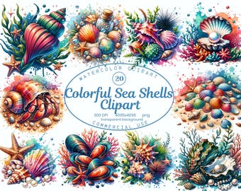 Colorful Sea Shell Clipart Collection, Beach Ocean 20 PNG Illustrations, Summer Coastal Sheashell Art, Digital Download, Commercial Use