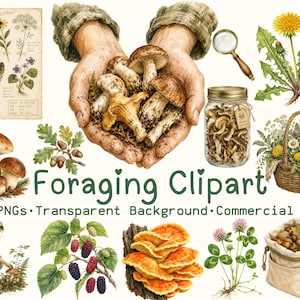 May include: A collection of watercolor illustrations featuring mushrooms, berries, wildflowers, a magnifying glass, a jar of dried fungi, a woven basket, and a canvas bag. The text reads Foraging Clipart 40 PNGs Transparent Background Commercial Use.